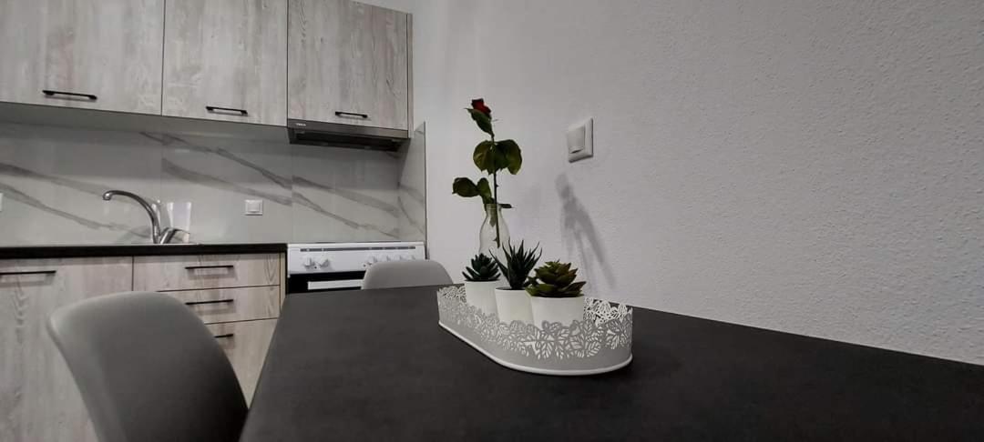 Milias Apartment'S Ierissos Rum bild
